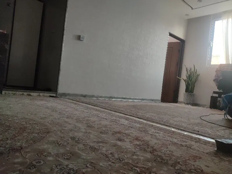همخونه خانم هستم تنها