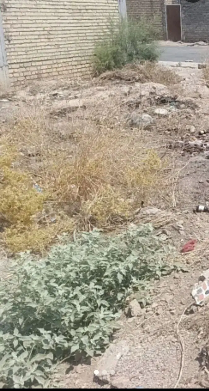 فروش زمین بلوار شهدا کوچه رضایی