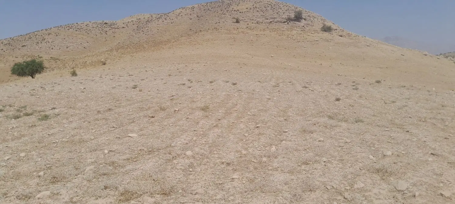 زمین کشاورزی