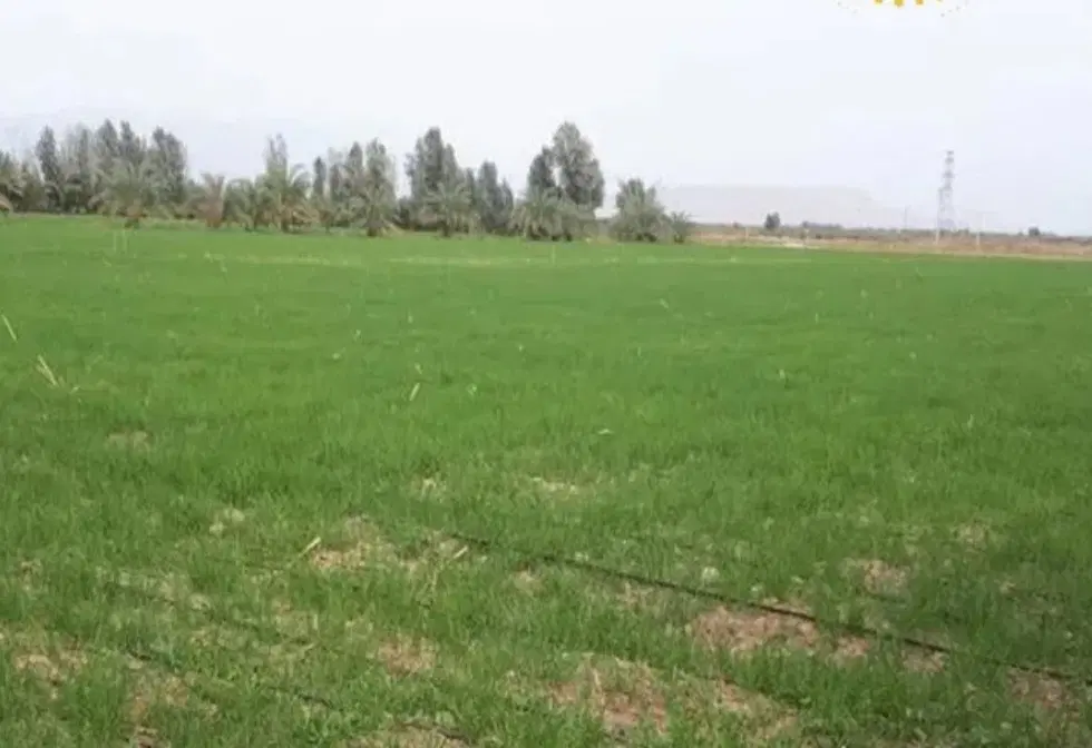 فروش زمین روبرو نمایشگاه بین المللی