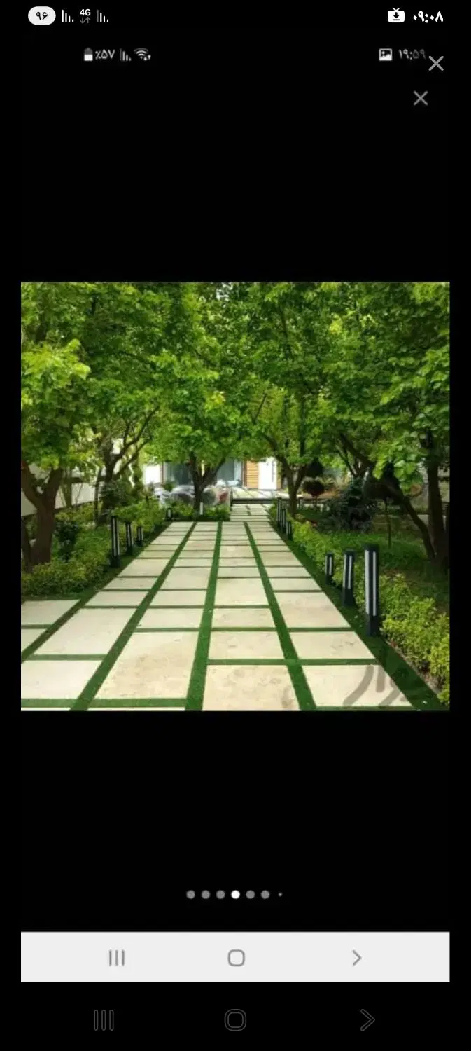 باغچه انگور ایستاده  جوان
