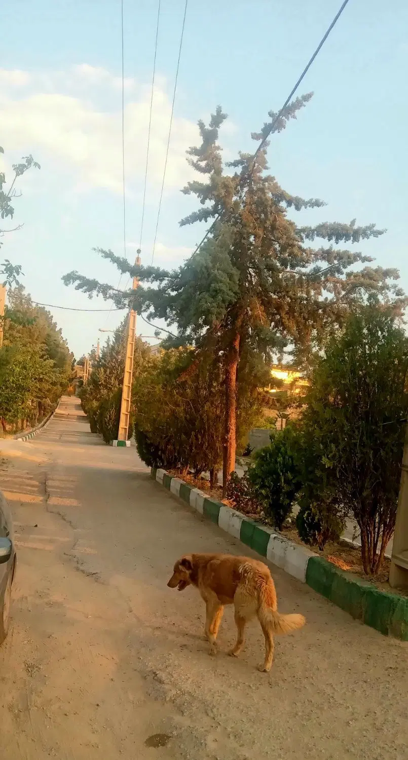 مهرآباد شهرکی   قسطی زمین سنددار بخر