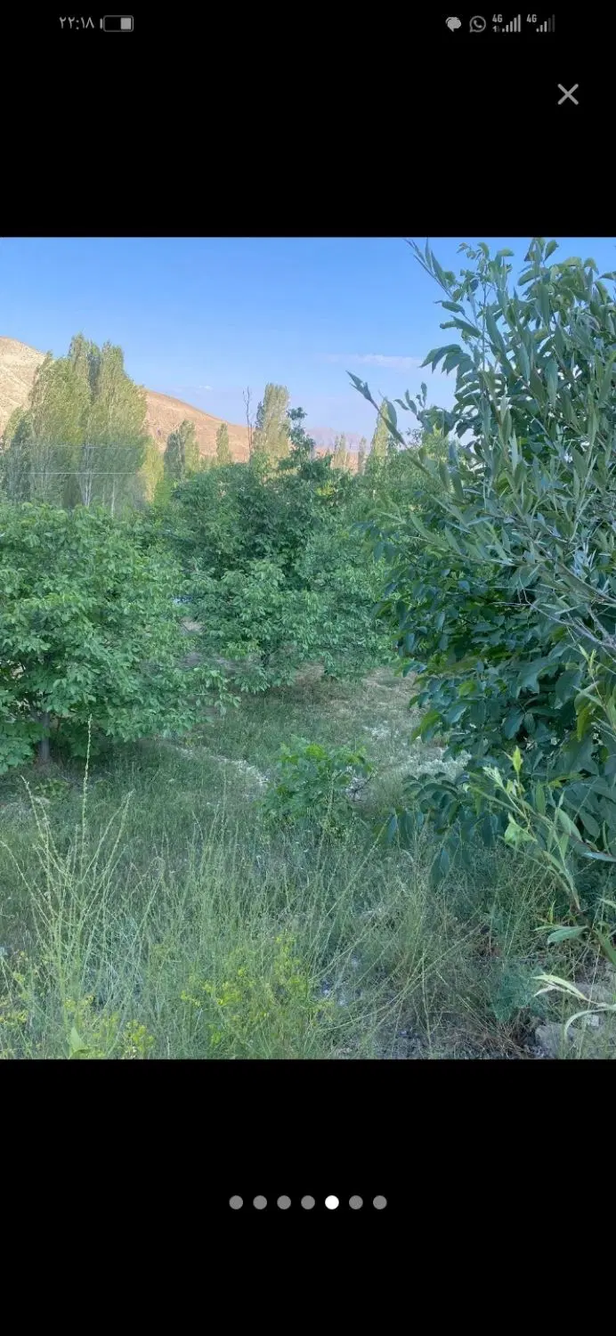 زمین کشاورزی