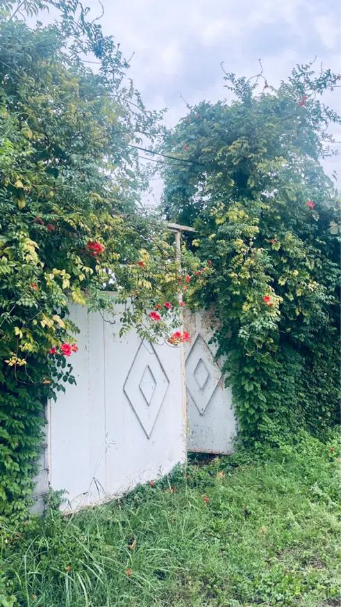 زمین مسکونی سند دار