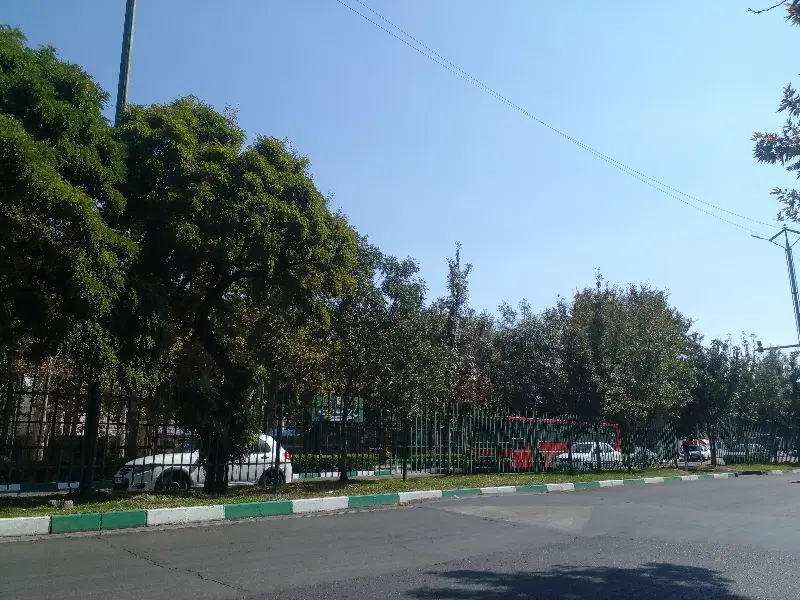 همخونه خانم