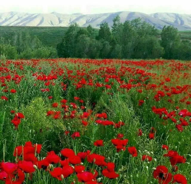 زمین کهن شهر