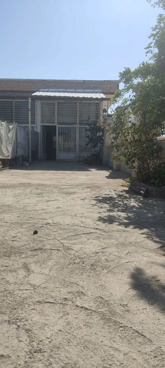 اجازه مغازه