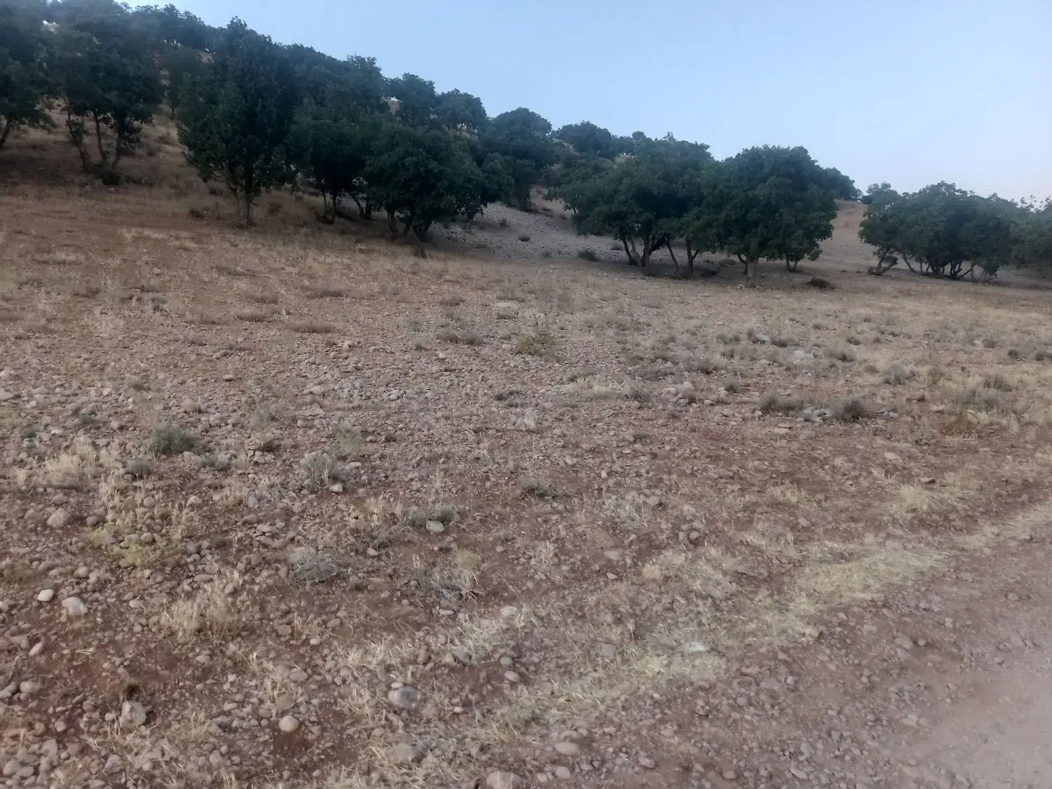 فروش زمین