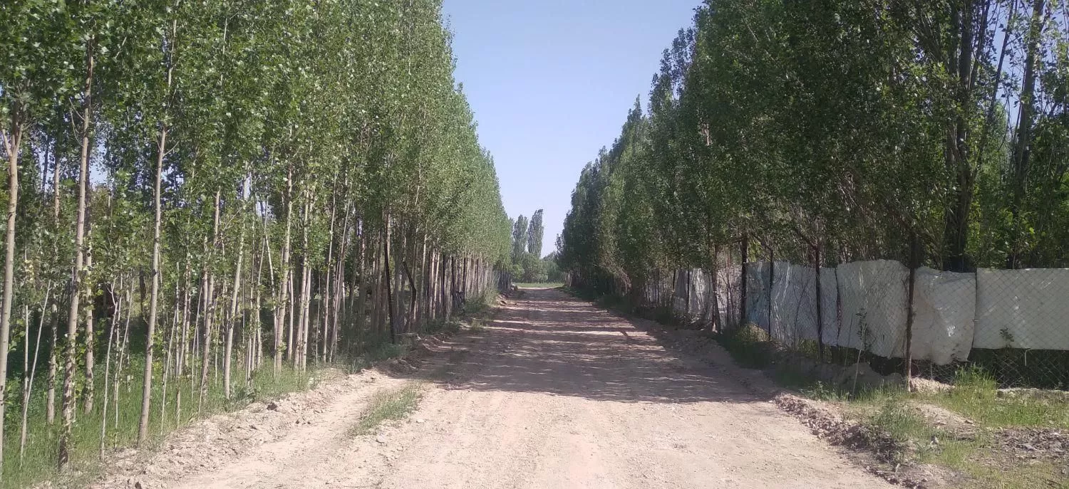 ویلا وباغ در داخل شهر آخر گل مغان سند تگ برگ