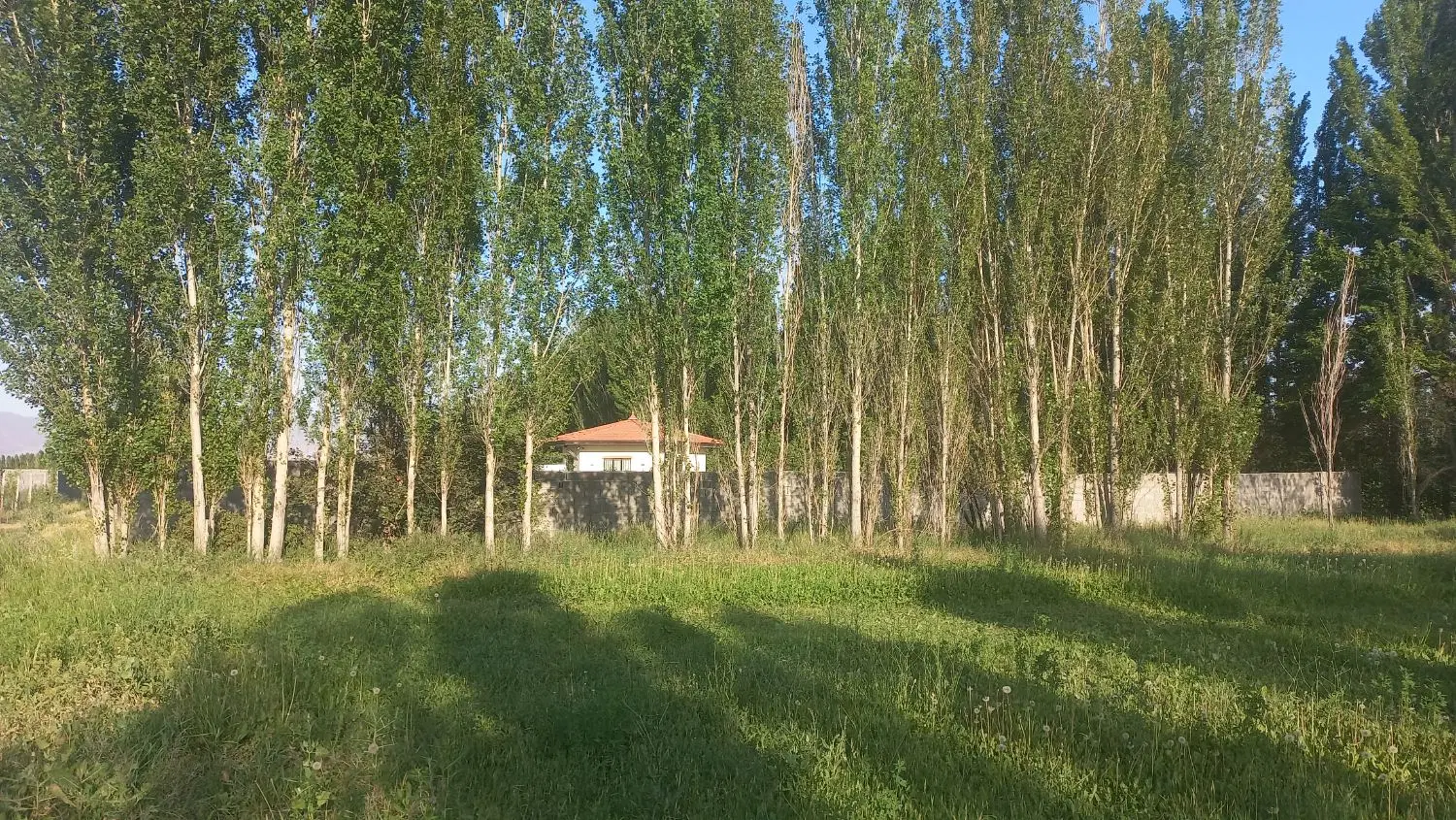 زمین باغ ویلایی ۴۰۰ متر