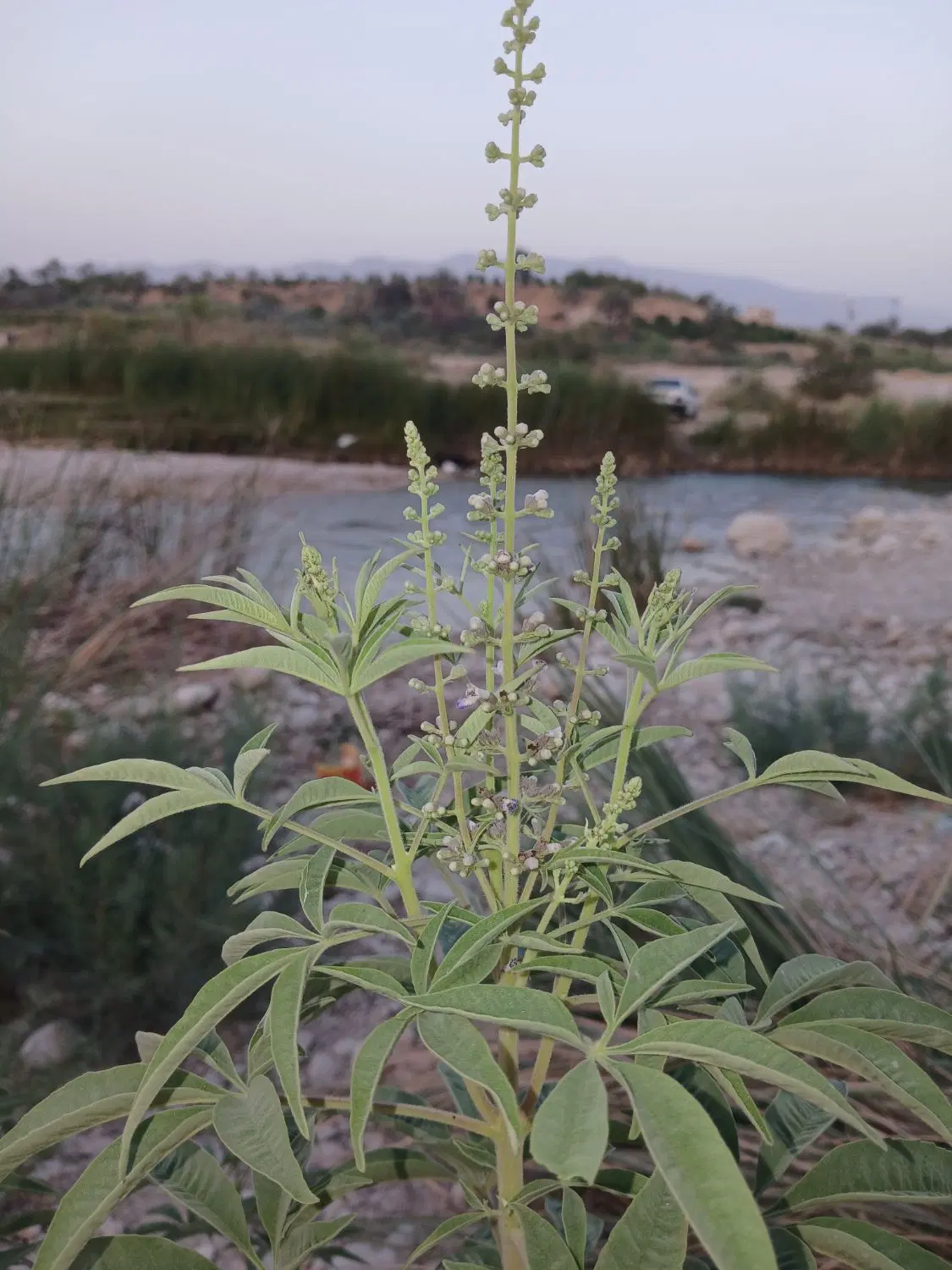 فروش زمین دیوارکشی
