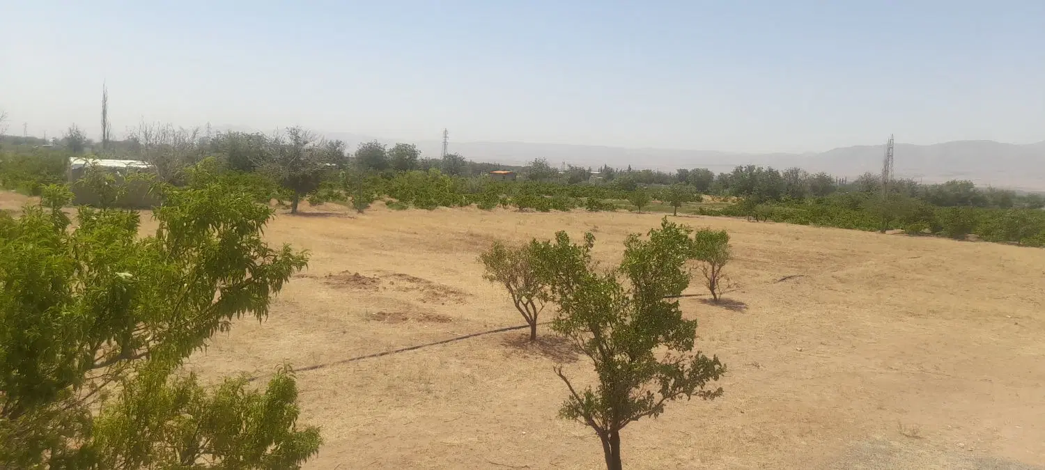 زمین باغی اراضی شناط