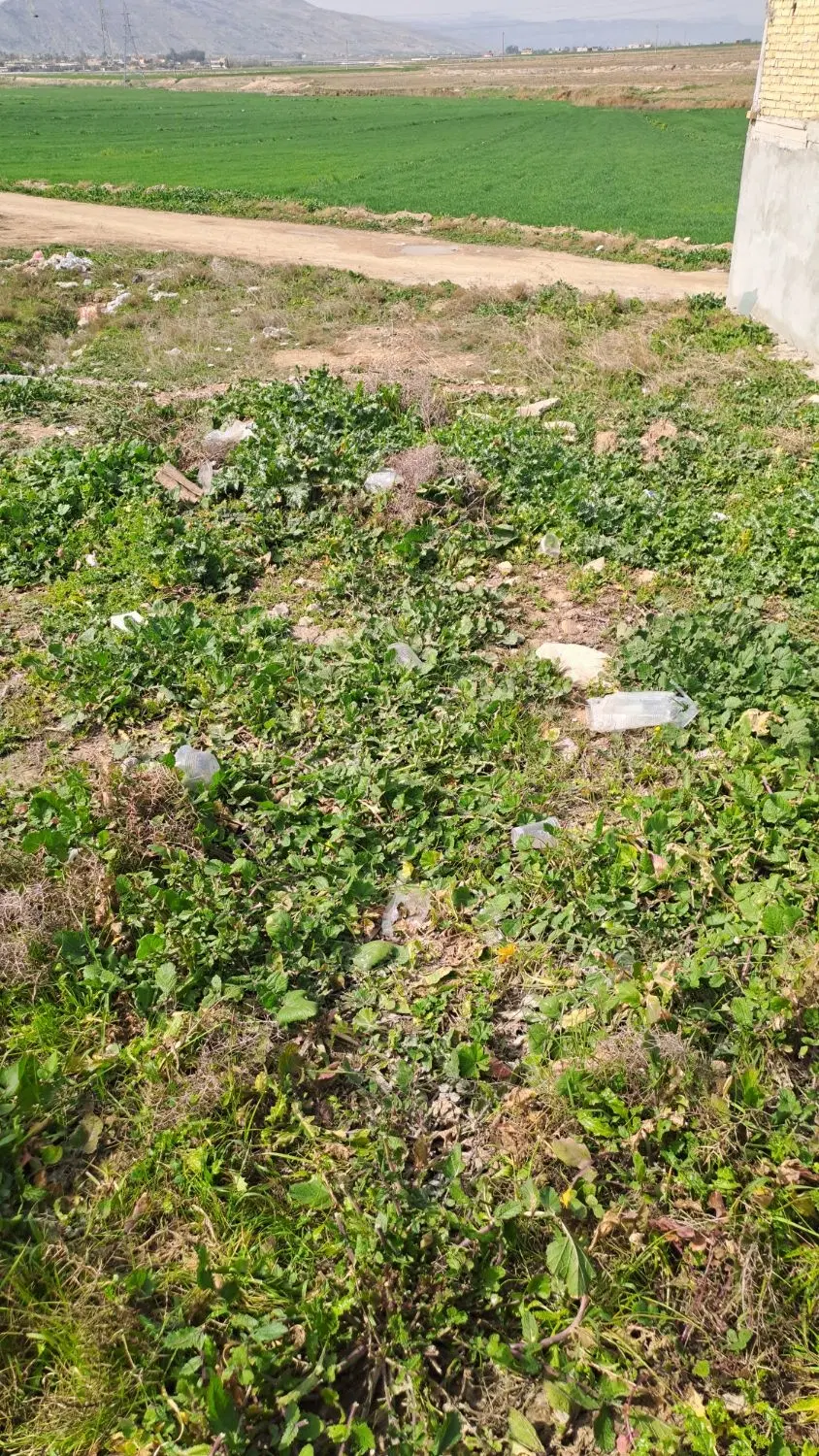 زمین کشاورزی مناسب باغ و باغشهری