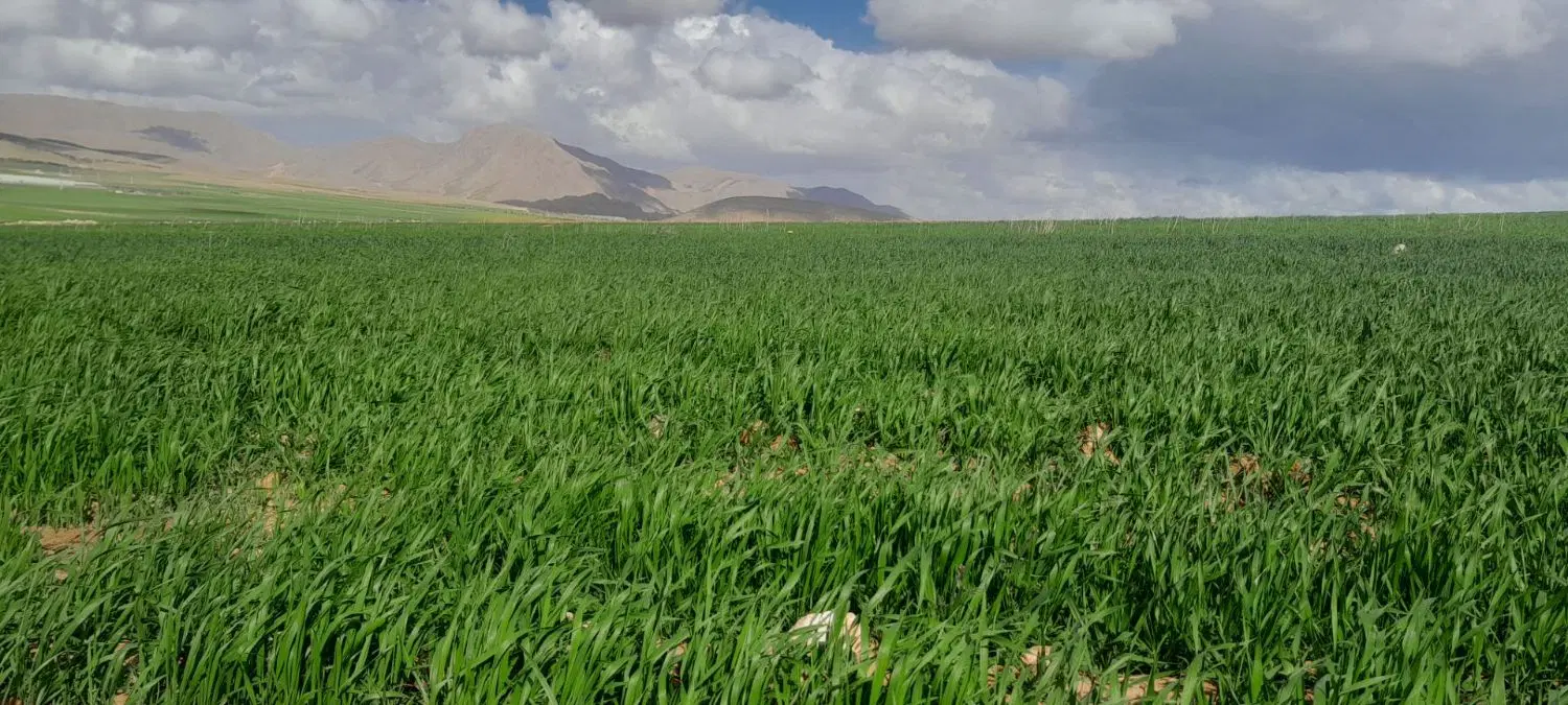 فروش زمین اله آباد