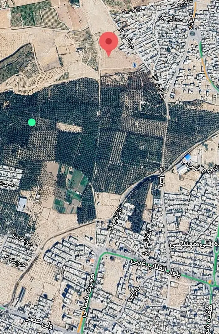 فروش زمین دوکله نخلستان