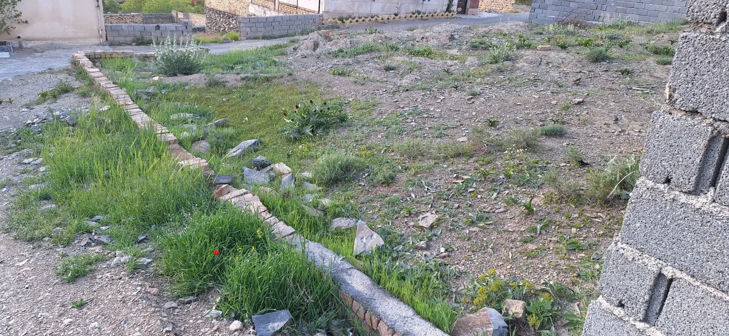 زمین 100متری نظم اباد