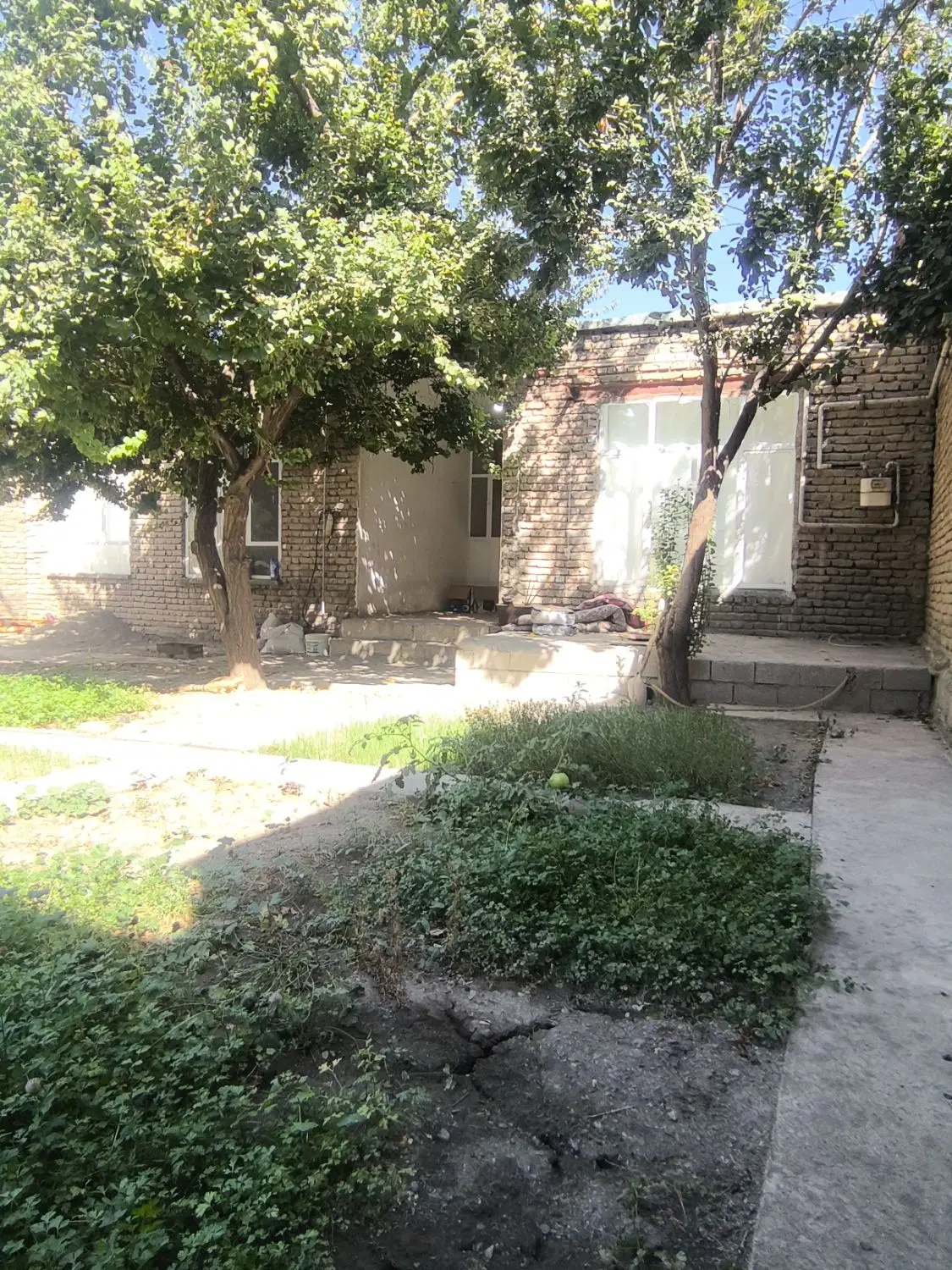 ساختمان زیر بنا۲۵۶
