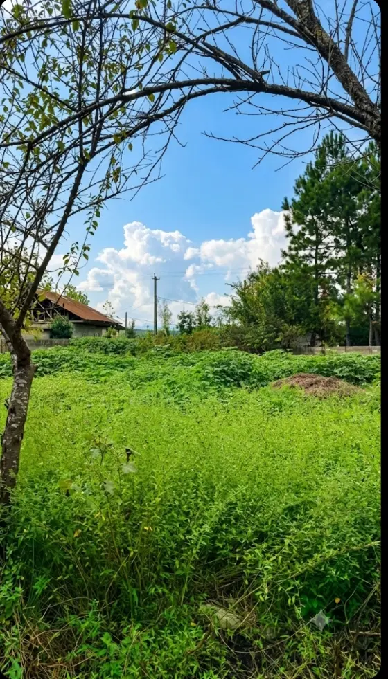 253 متر زمین روستایی بر آسفالت