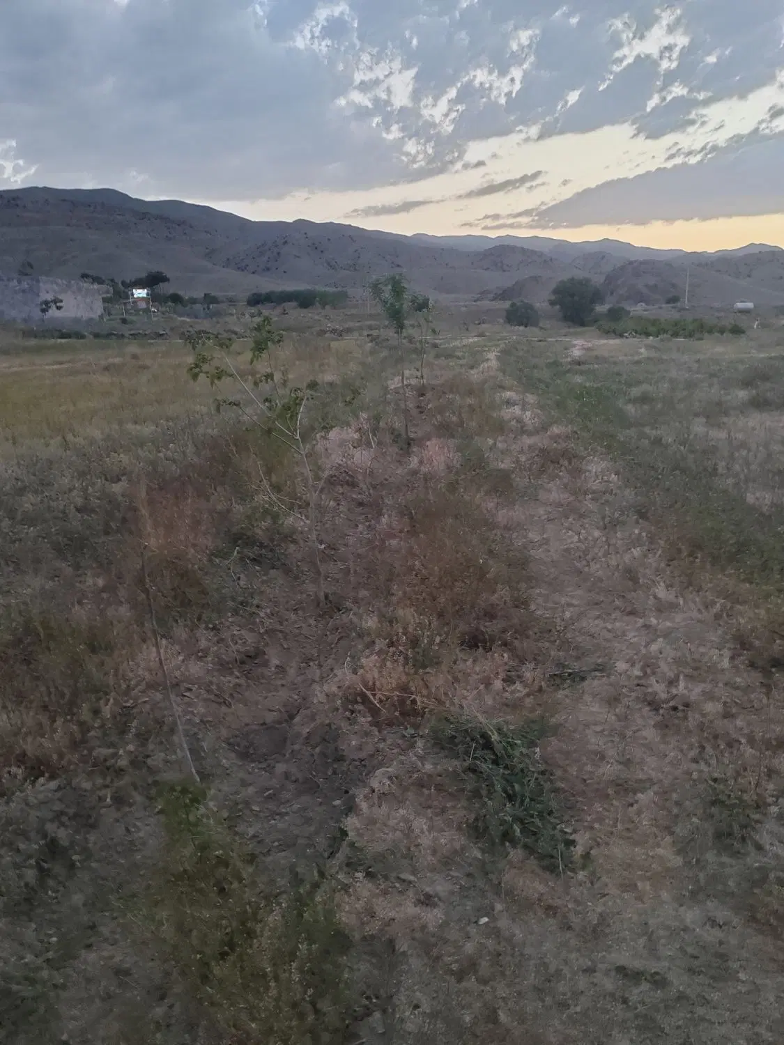 باغ سورگ دوکله ماشین رو