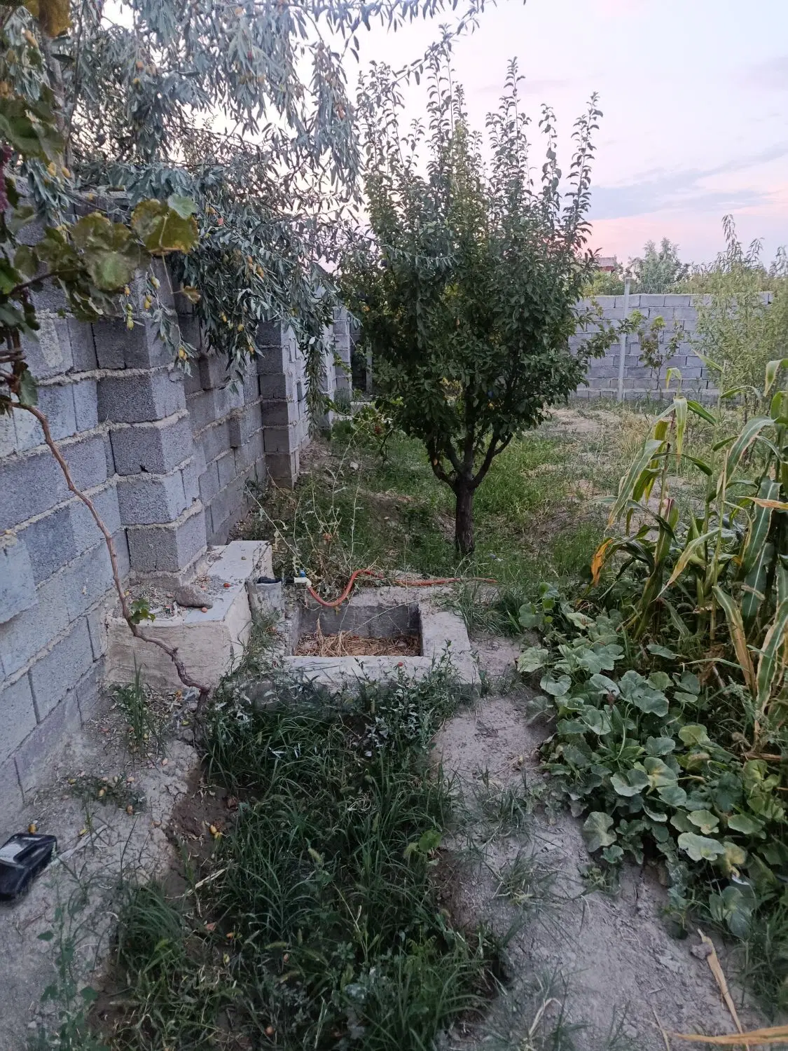 باغچه و ویلا