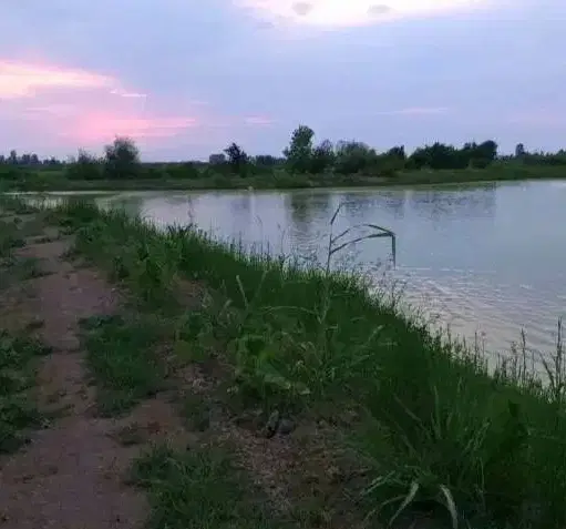 استخرماهیی_پرورش ماهی_گرمابی_بومگردی_سند تک برگ