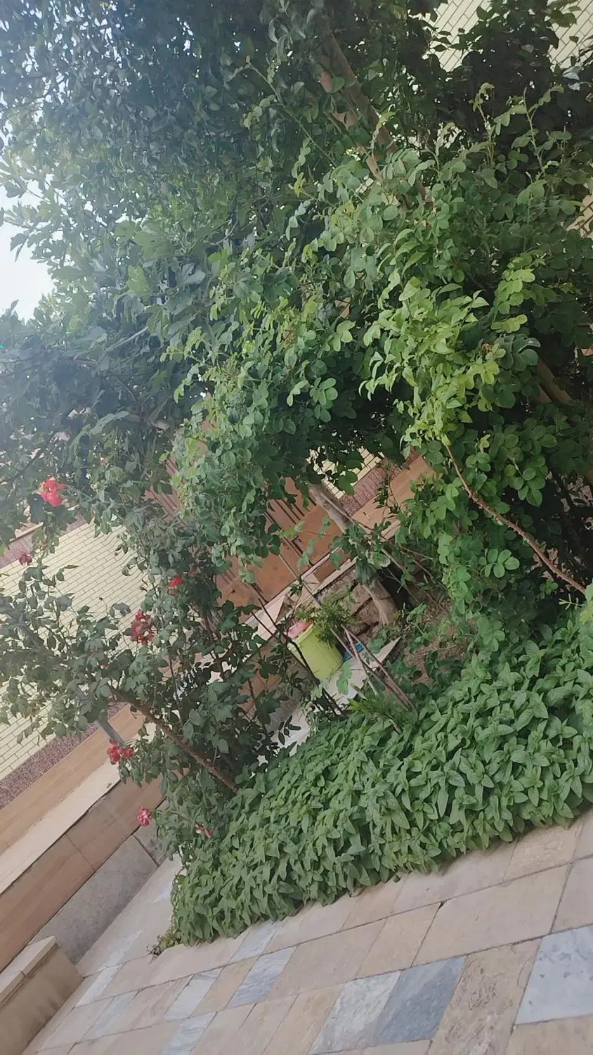 شهر زاینده رود محله بیستجان
