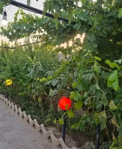 زمین فروشی امین نژاد