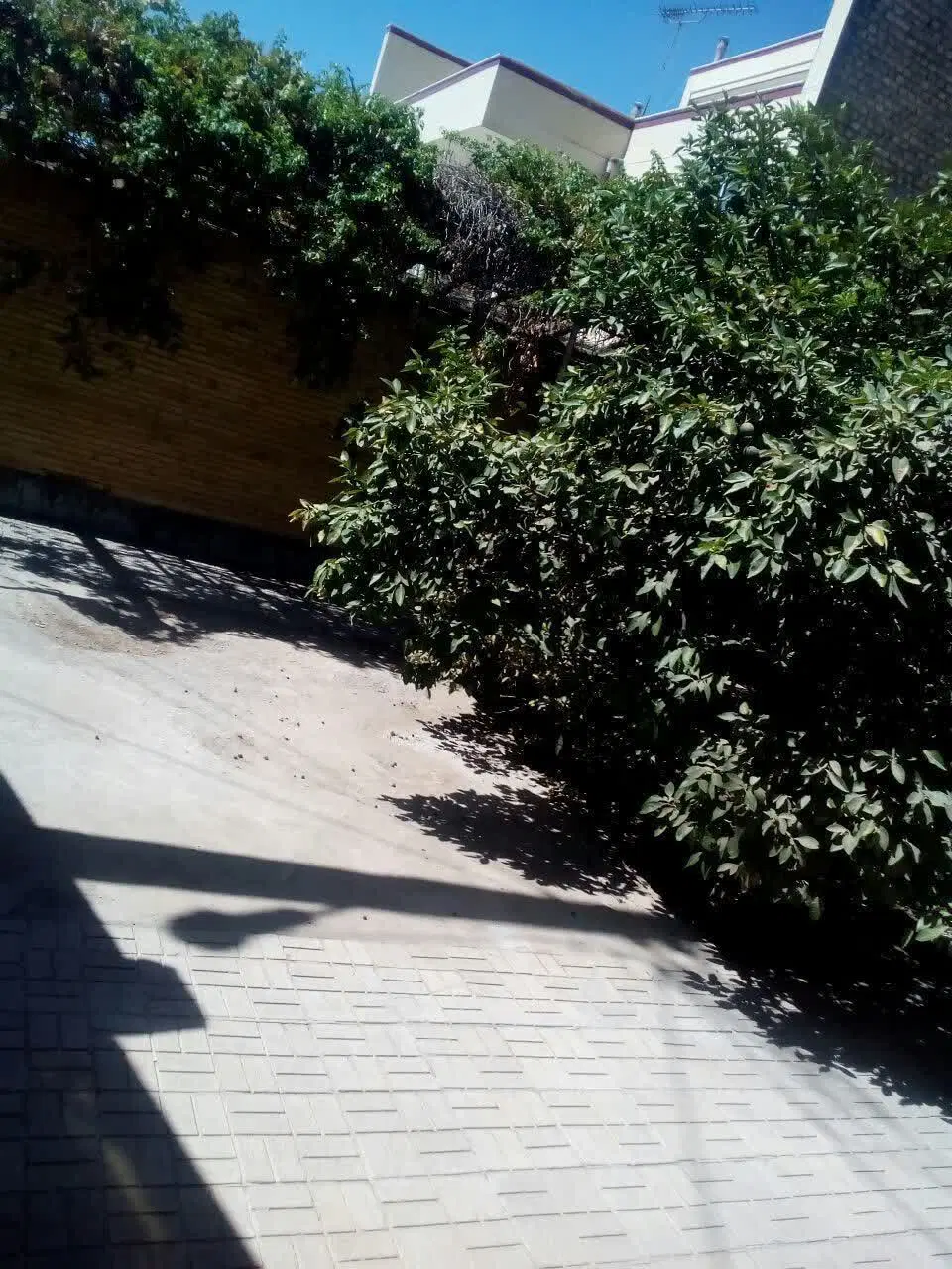 فروش ملک ویلایی یزد یا تهاتر با آپارتمان در تهران