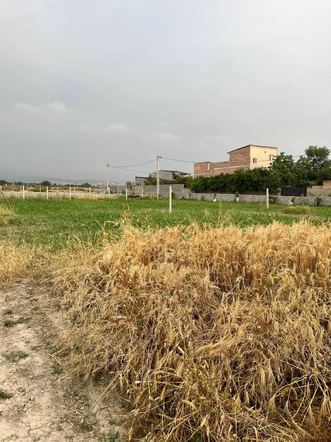 زمین باغی مریم اباد گرگان