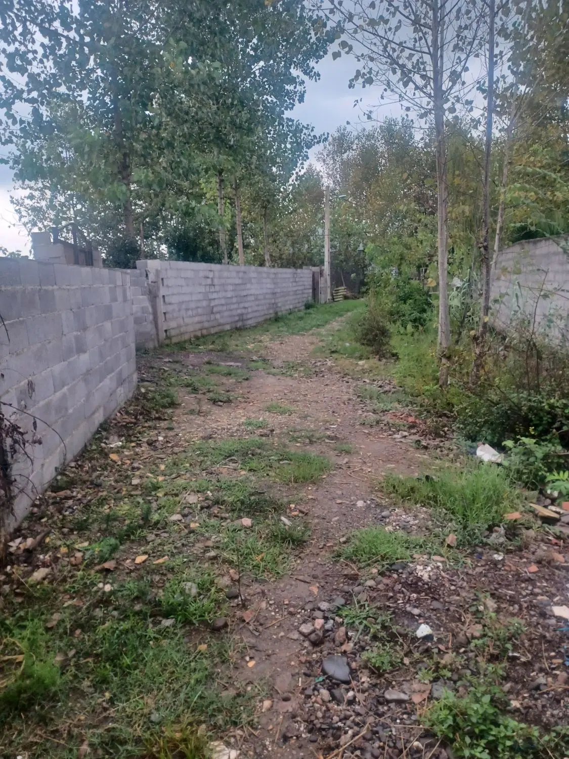 زمین باغی ۲۵۰ متر مربع