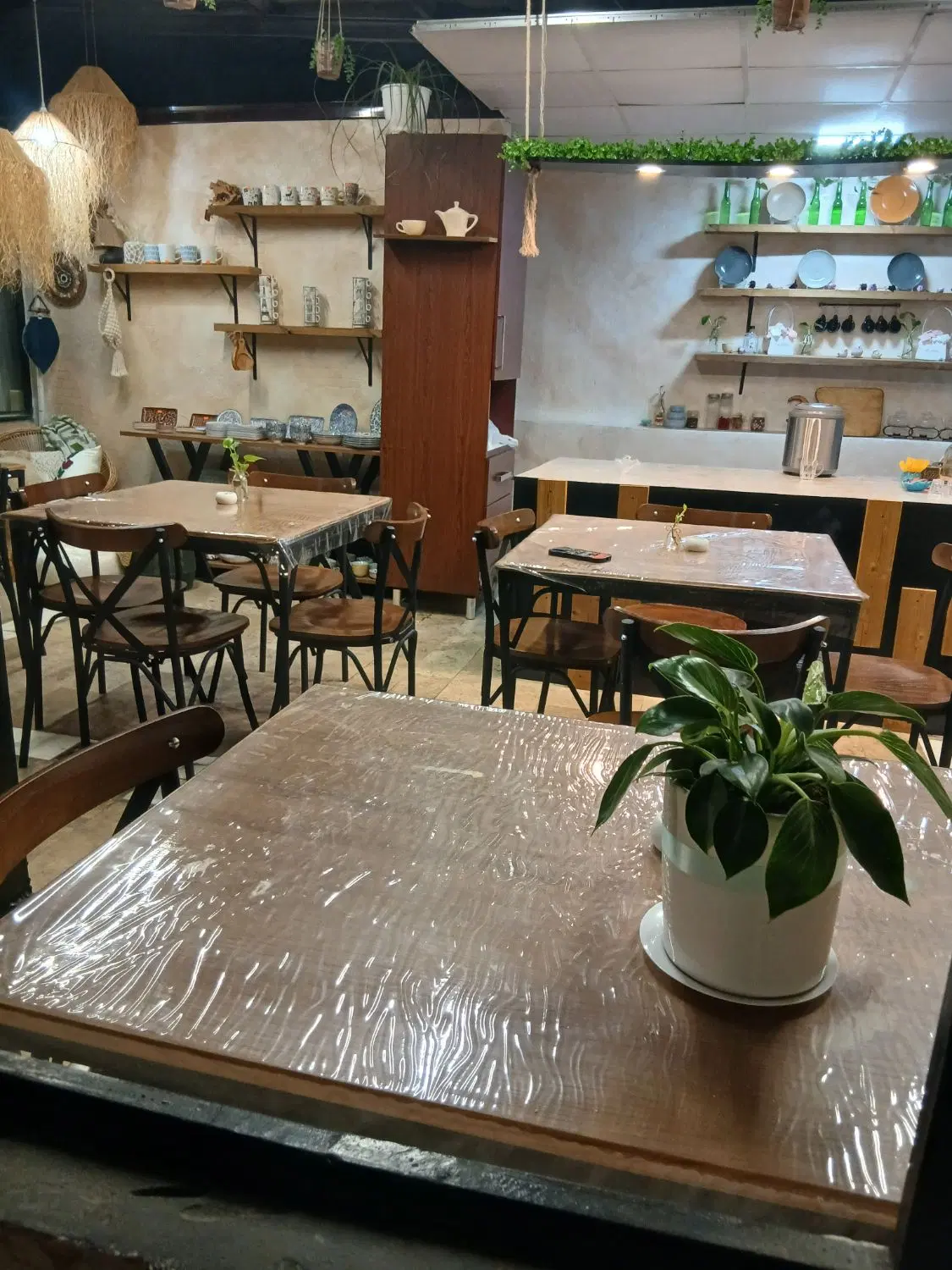 اجاره رگال در کافه مزون