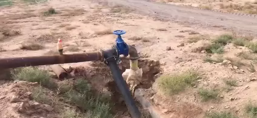 300 هکتار کشت و صنعت