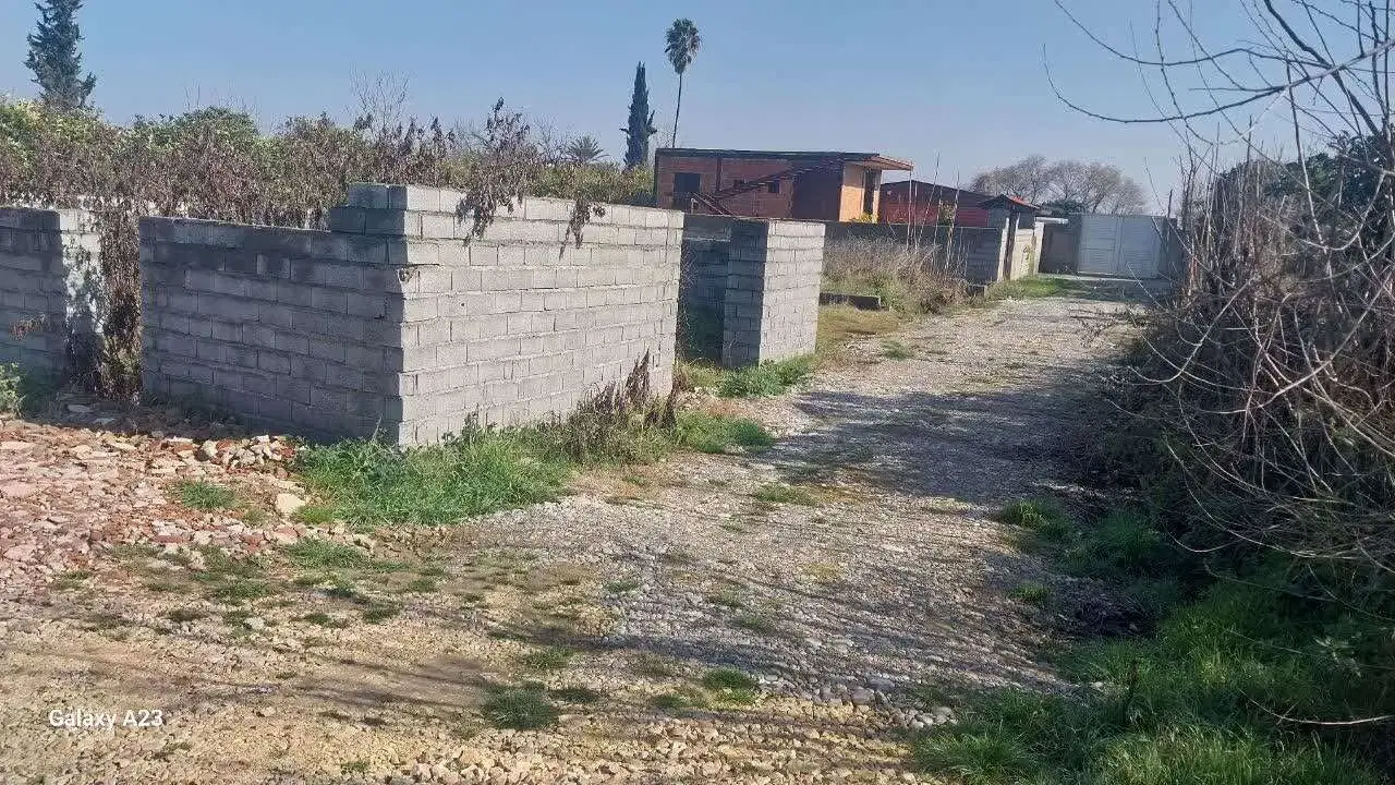 زمین مسکونه جاده فرح آباد روستای ماهفروز محله علیا