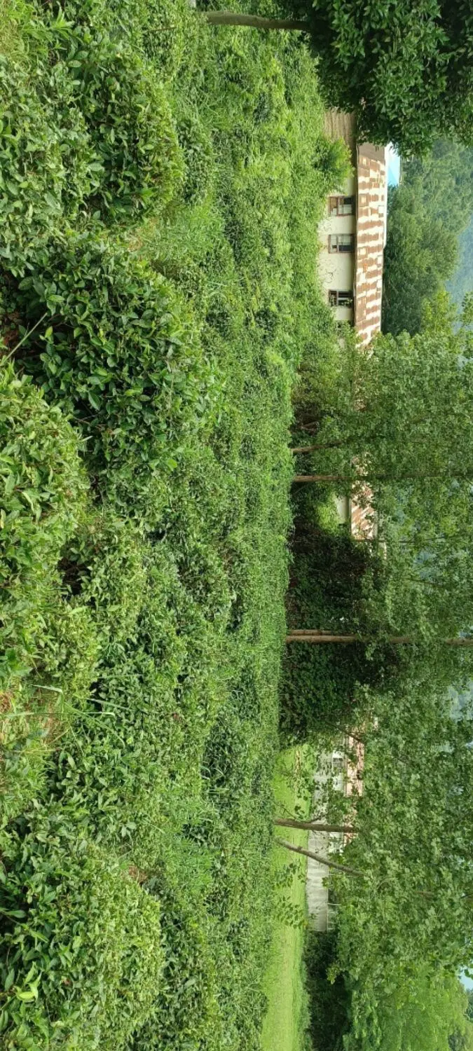 فروش زمین