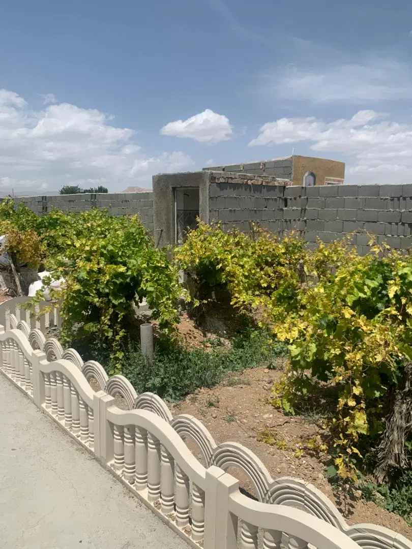 باغچه فروشی شهرک نمازی