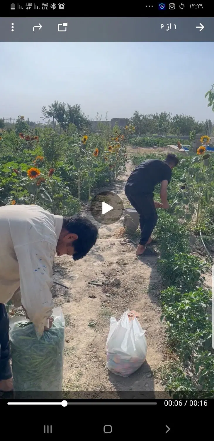 باغچه تهراندشت تنکمان