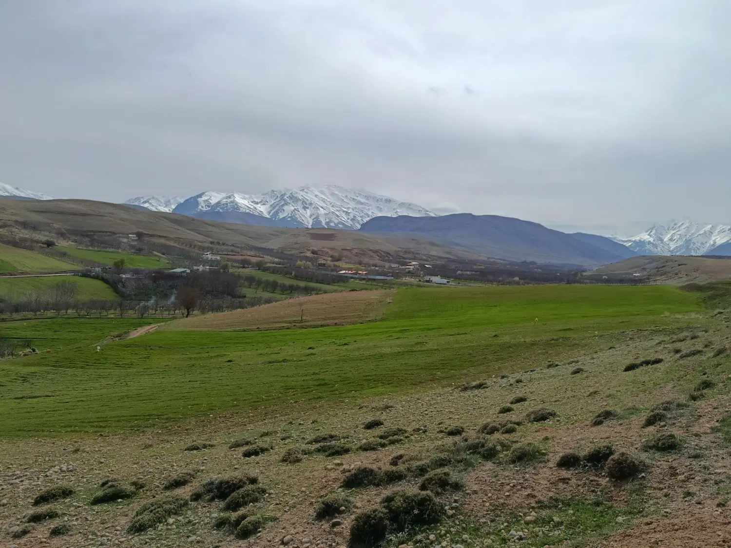 زمین   کشاورزی بروجرد