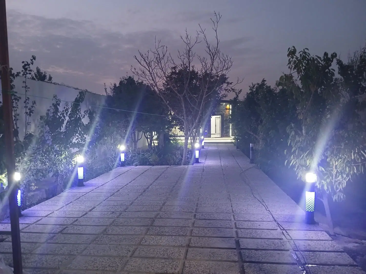 باغچه ۴۷۳ متری قپچاق