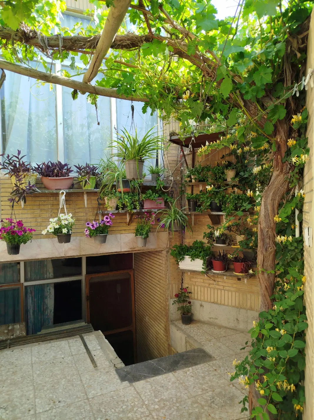 اجاره کوتاه مدت