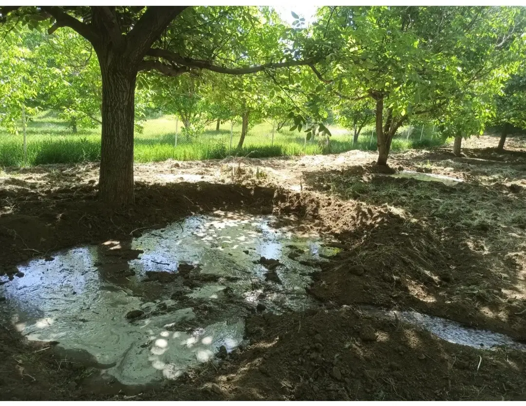 مشاور زمین باغی شمس آباد بهترین جای روستا