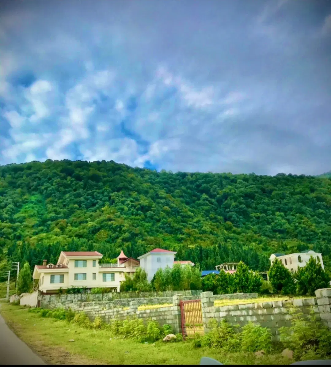زوات غرب قطعه یک جنگل ۵۰۰