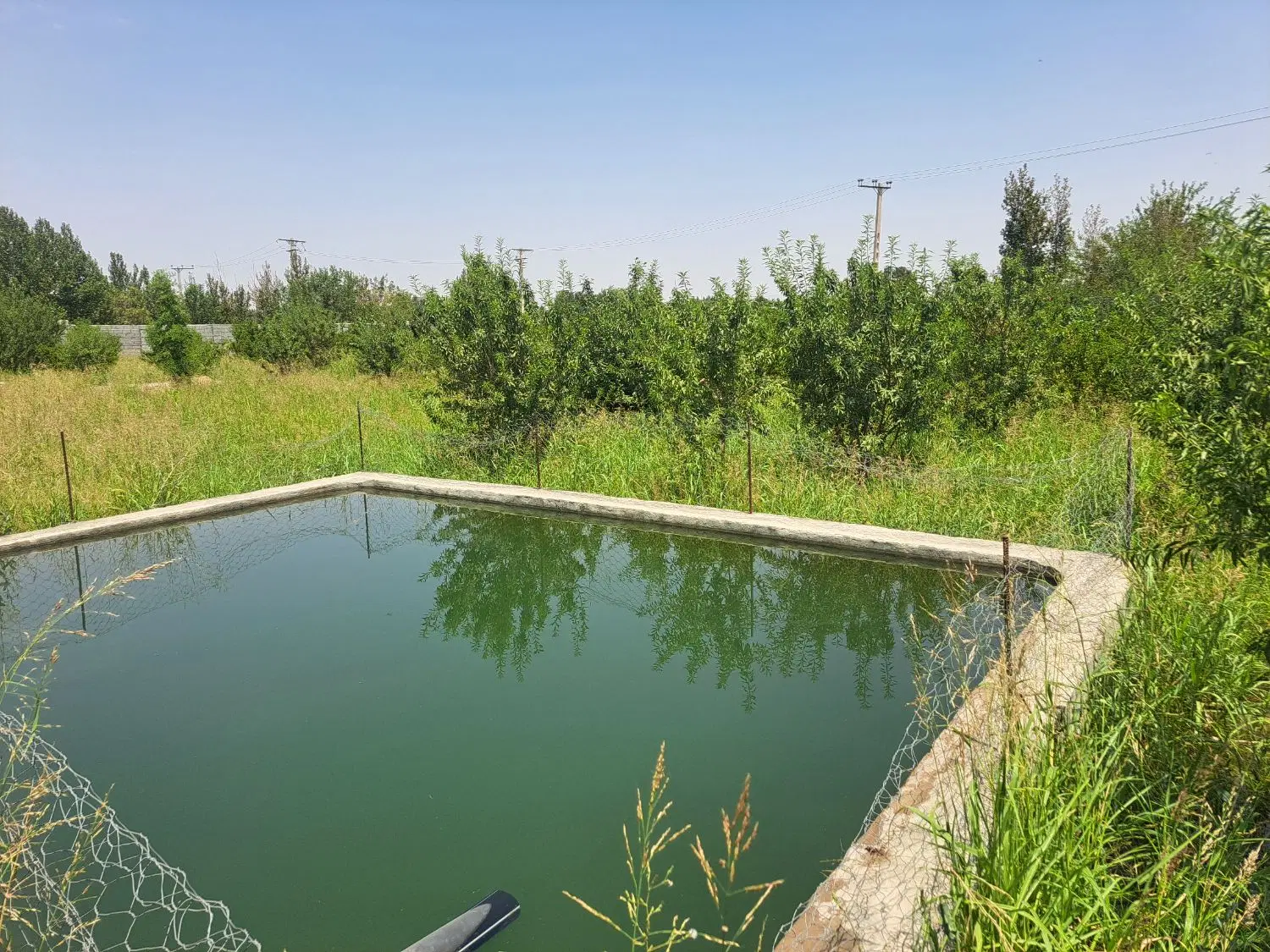 باغ اشترجان