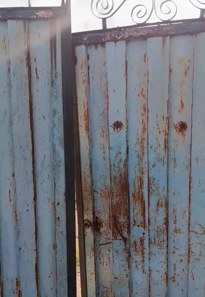 زمین روستایی مسکونی _باغات