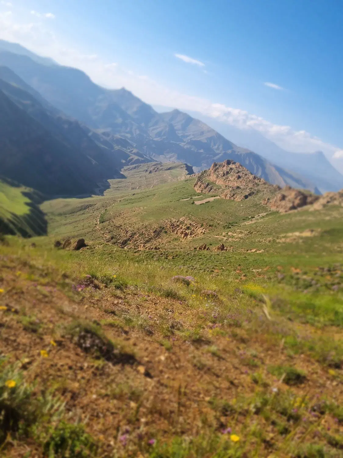 زمین مسکونی