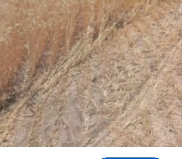 ۱۰۰۰متر زمین