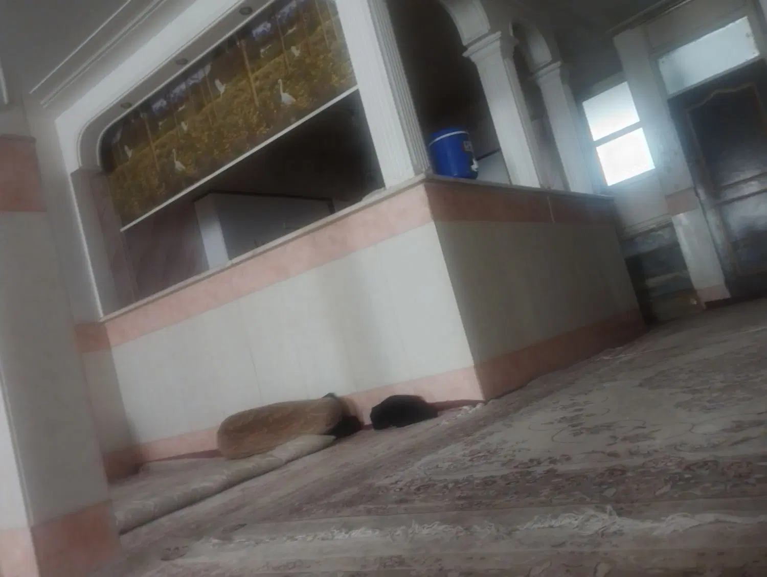 اجاره خانه طبقه همکف