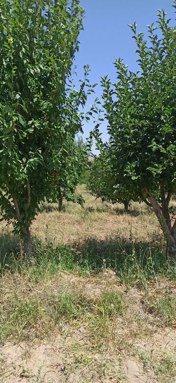 خانه کلنگی در سه راه توکلی