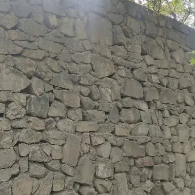 زمین مسکونی