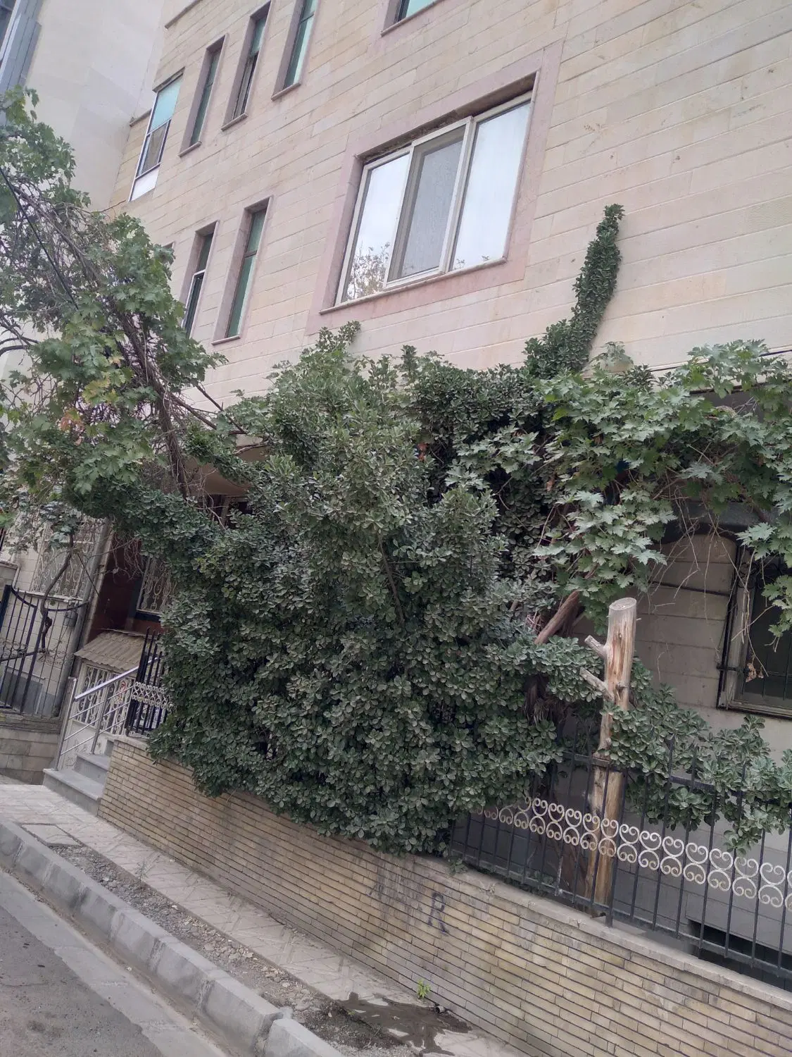 عظیمیه ۱۲۲ متر زنبق ها