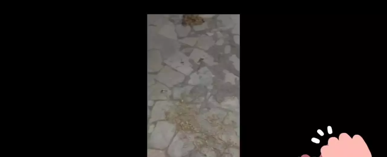 باغ